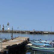 Baja2011 454 : Baja2011